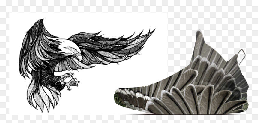 The Conceptual Imagery Used In Our Design Brief To - Eagle Illustration, HD Png Download - tatuajes png