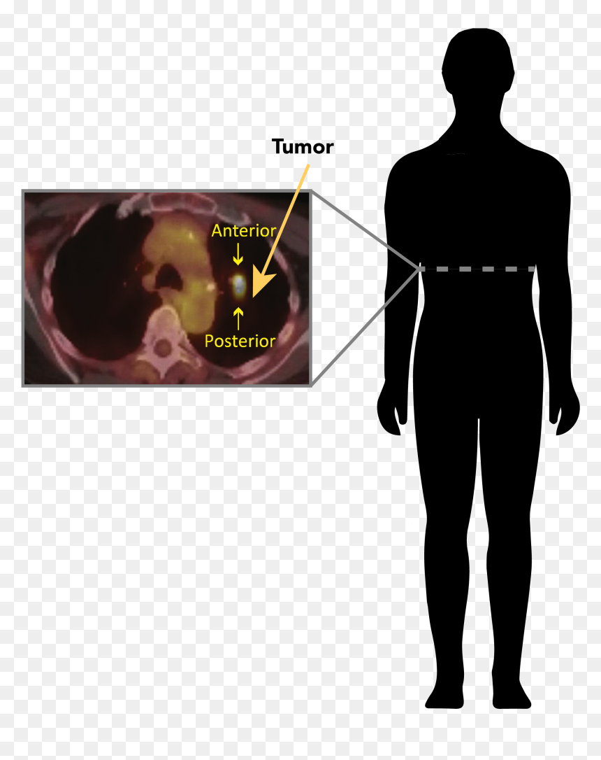 Standing, HD Png Download - person looking png
