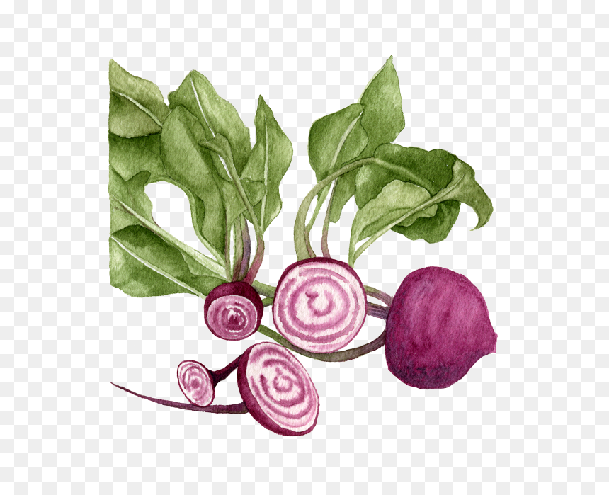Beetroot , Png Download - Beetroot, Transparent Png - beets png