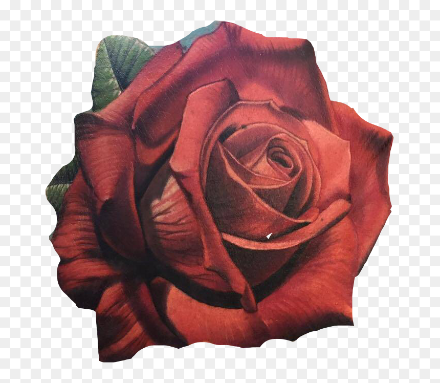#tatuaje #rosa #flor #freetoedit - Garden Roses, HD Png Download - tatuajes png