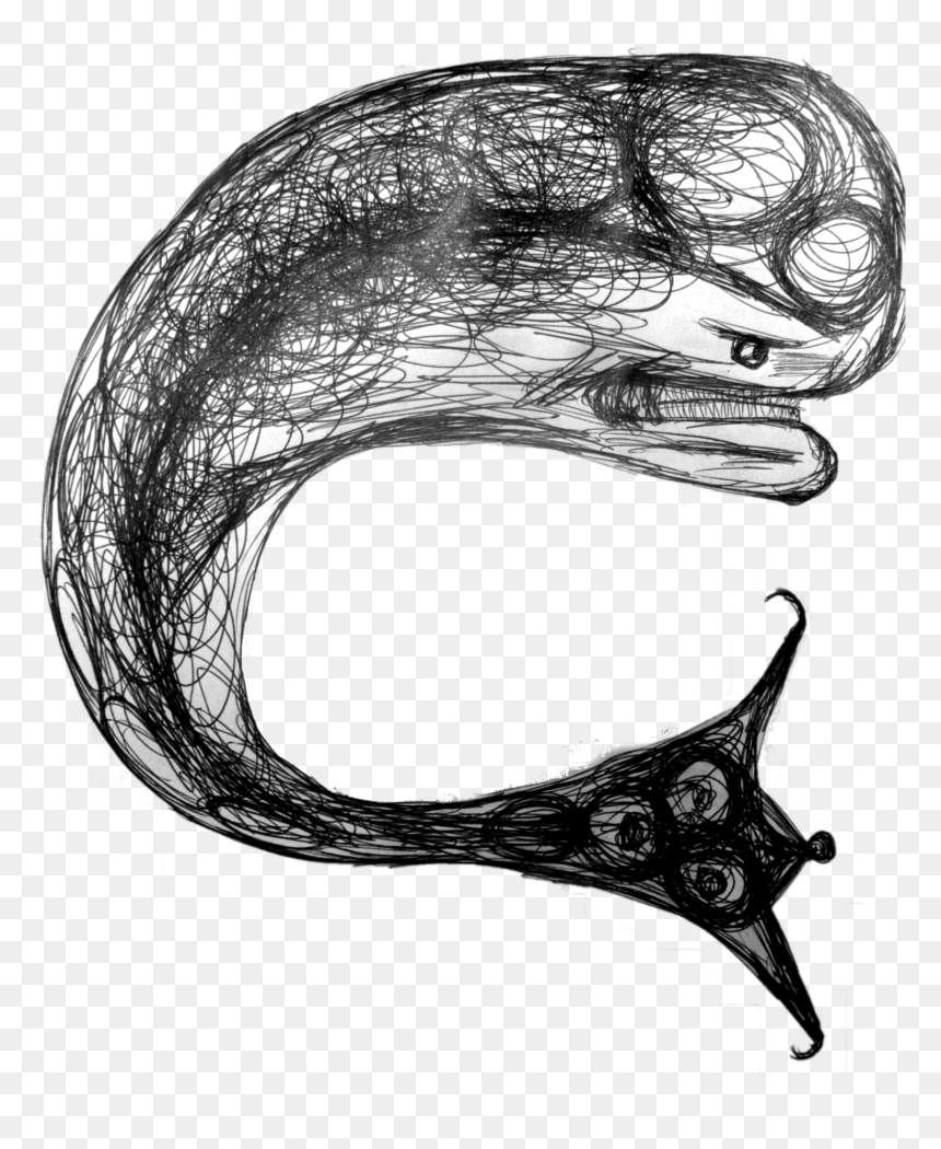 Odontocetes Pen Sketch - Sketch, HD Png Download - sketch png
