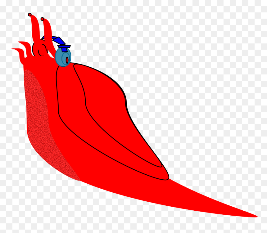 Slug Headphone Clip Arts - Illustration, HD Png Download - slug png
