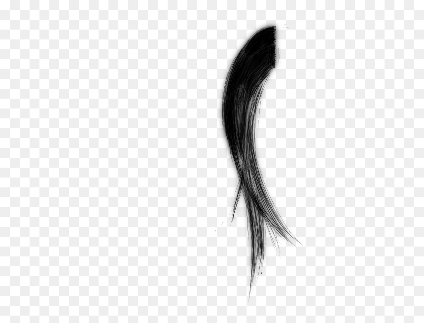 Hair - Sketch, HD Png Download - hair brush png