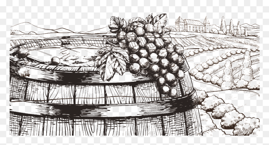 Sketch , Png Download - Drawing, Transparent Png - sketch png