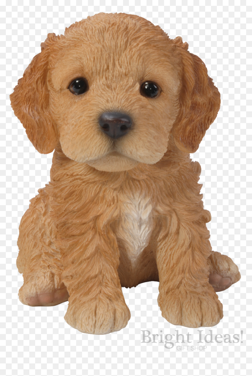 Cockapoo Vivid Arts Pet Pals Puppy Dog Real Life - Cockerpoo Puppy, HD Png Download - puppy dog pals png