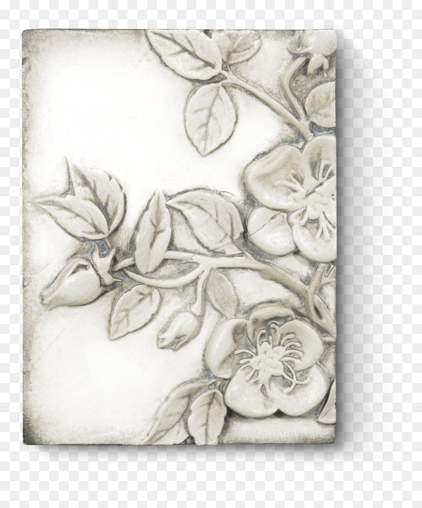 Sketch , Png Download - Cherry Blossom, Transparent Png - sketch png