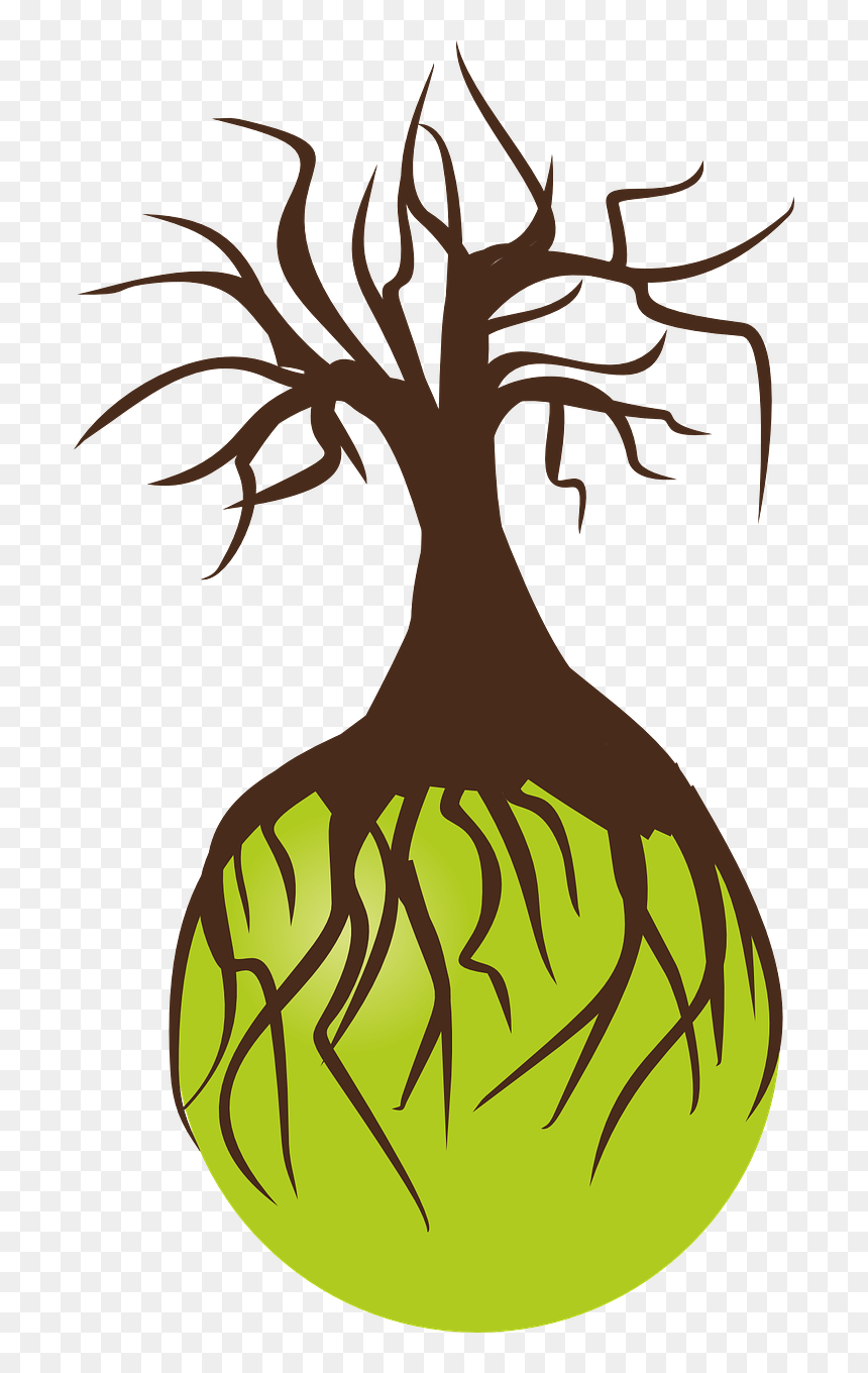 Tree Roots Background Transparent Png, Png Download - birch png
