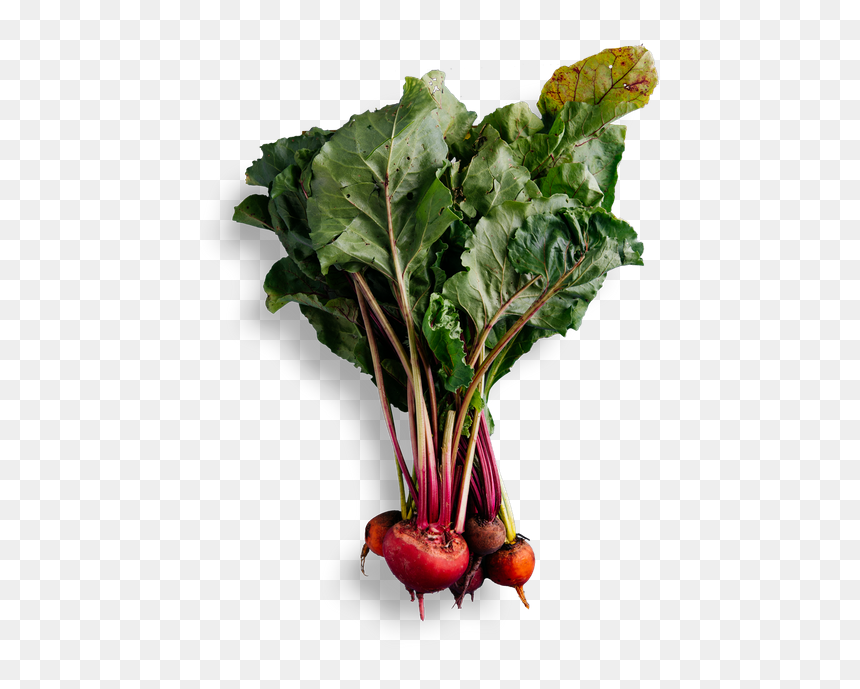 Beet Greens, HD Png Download - beets png