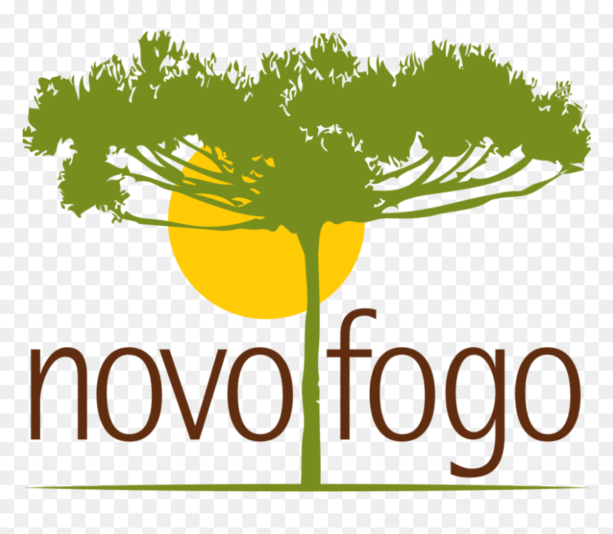 Novo Fogo Logo, HD Png Download - fogo png