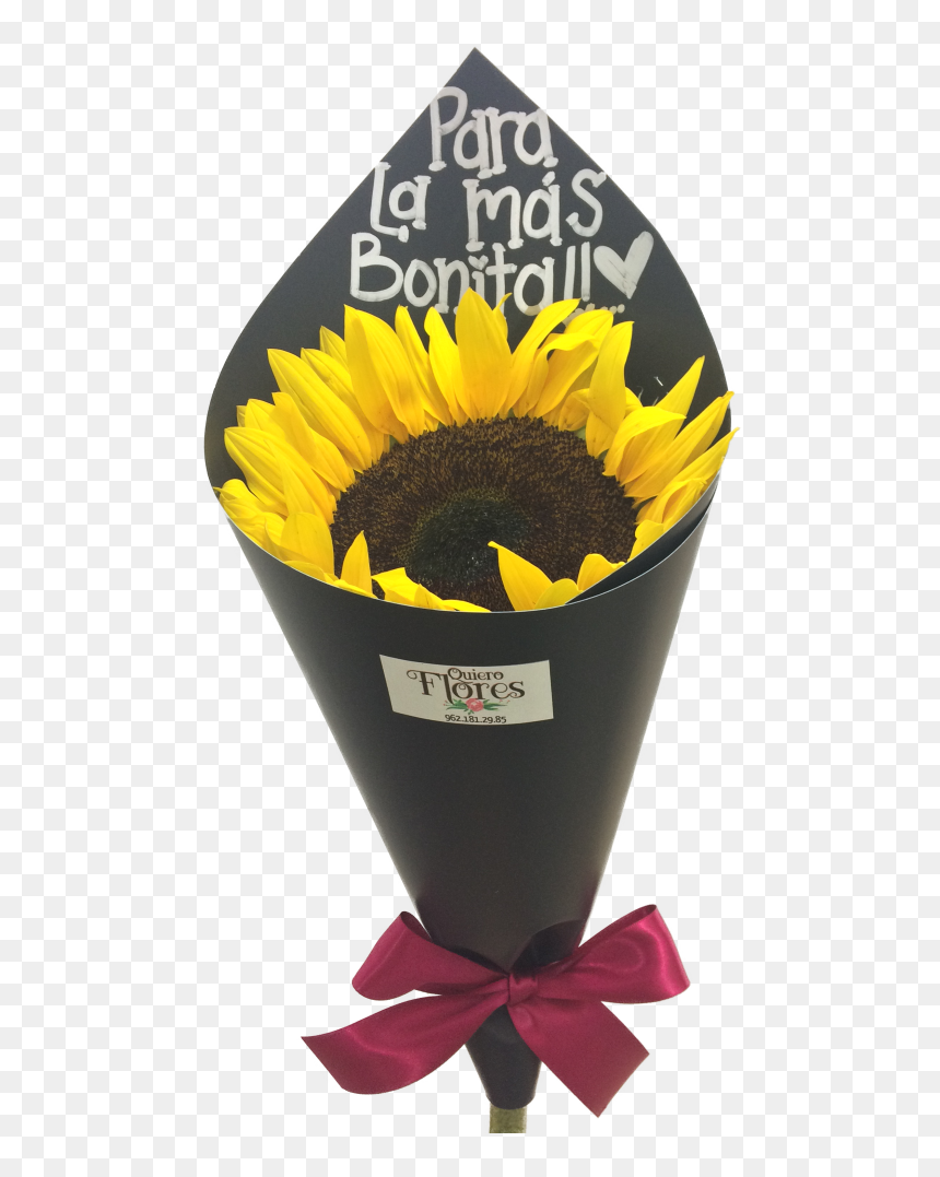 Ramo De Un Girasol , Png Download - Sunflower, Transparent Png - girasol png