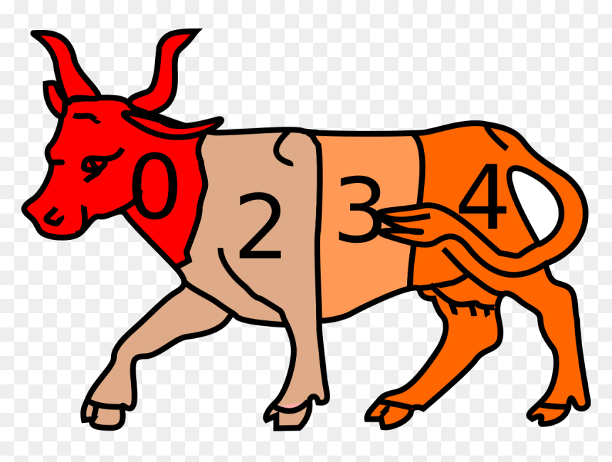 Chilean Rodeo, HD Png Download - rodeo png
