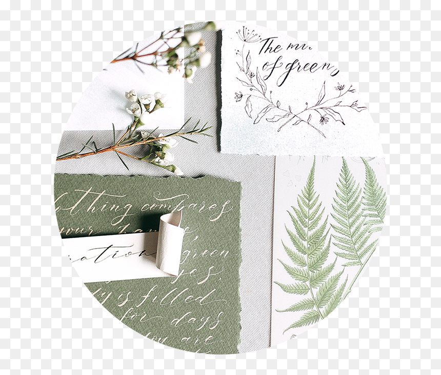 M - Ostrich Fern, HD Png Download - kanna png