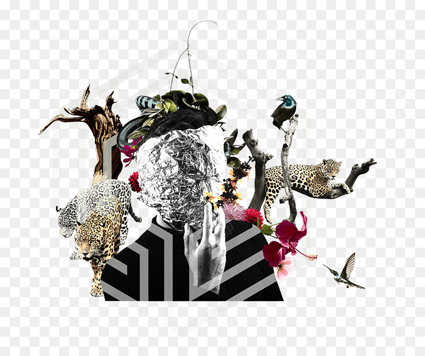 Illustration, HD Png Download - 30 day money back guarantee png
