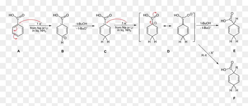 File - Birch-benzoic Mech - Svg - Birch Reduction Mechanism, HD Png Download - birch png