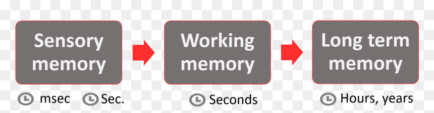 Merton Chamber Of Commerce, HD Png Download - memory png