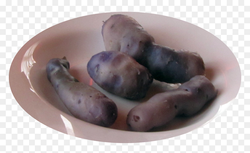 Plato De Papas Azules Hervidas - Fingerling Potato, HD Png Download - plato png