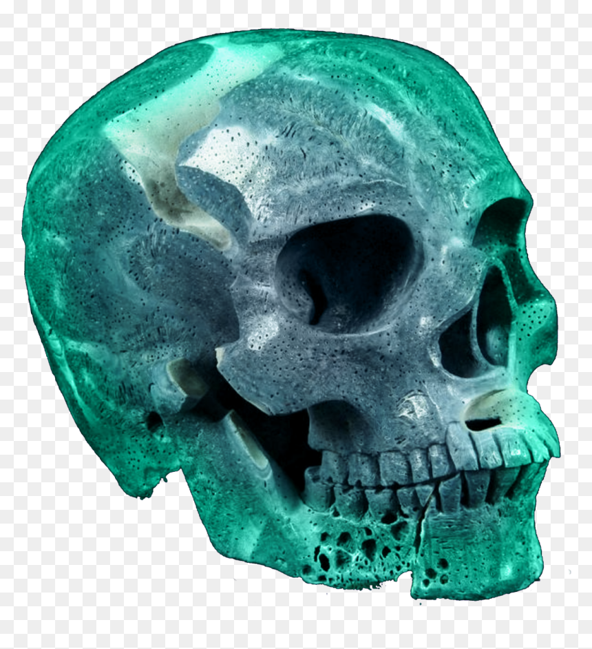 Skull, HD Png Download - skull .png