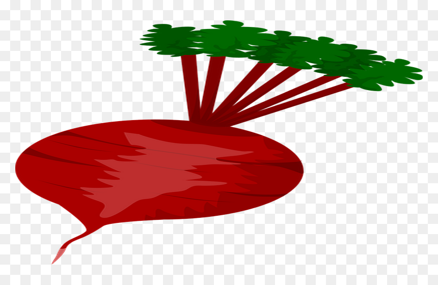 Png Download , Png Download - Beetroot Clipart, Transparent Png - beets png