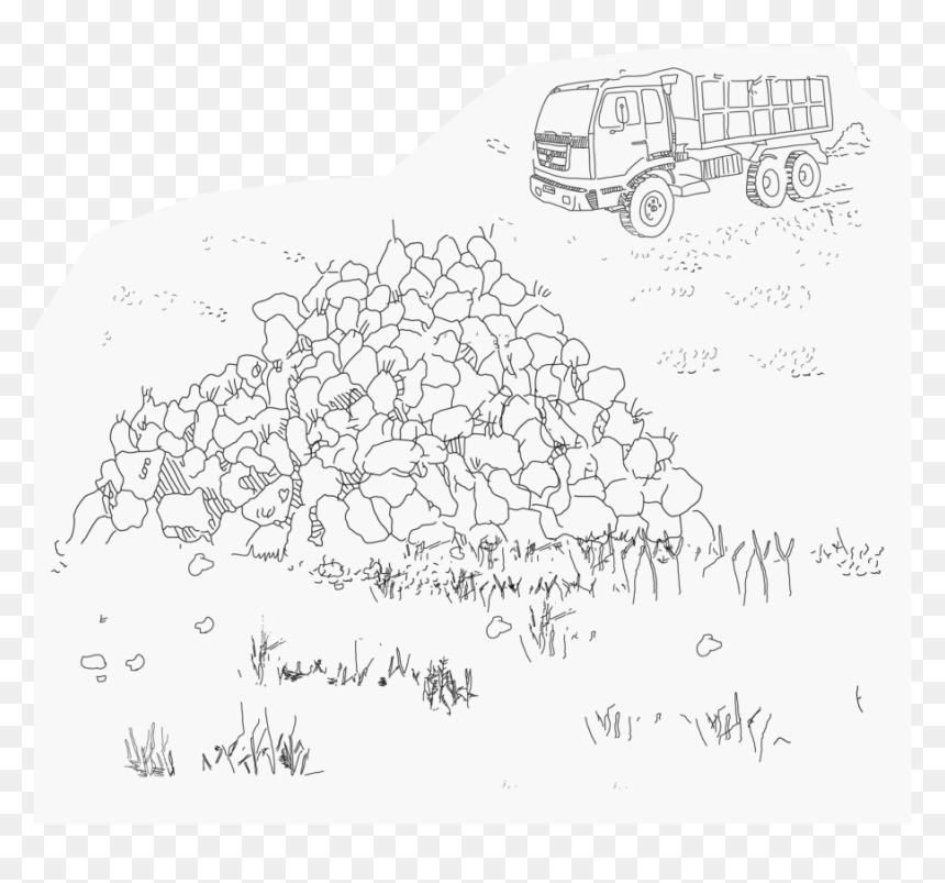 Piles Of Sugar Beets Waiting On The Fields, To Be Collected - Sketch, HD Png Download - beets png