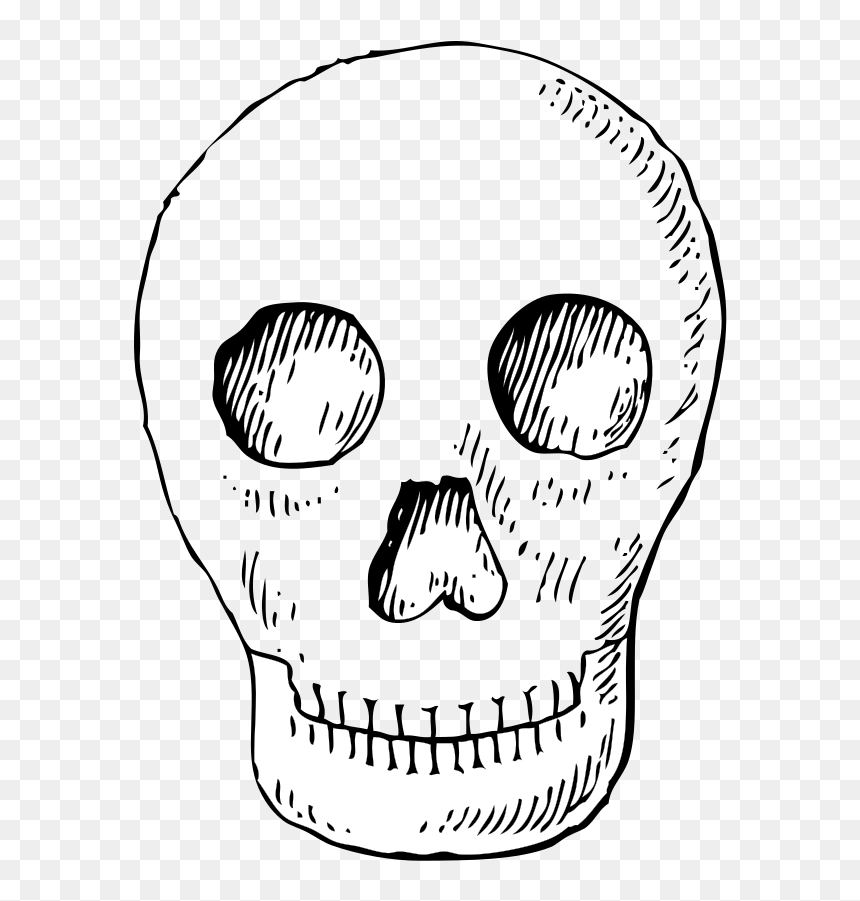 Poison Skull, HD Png Download - skull .png