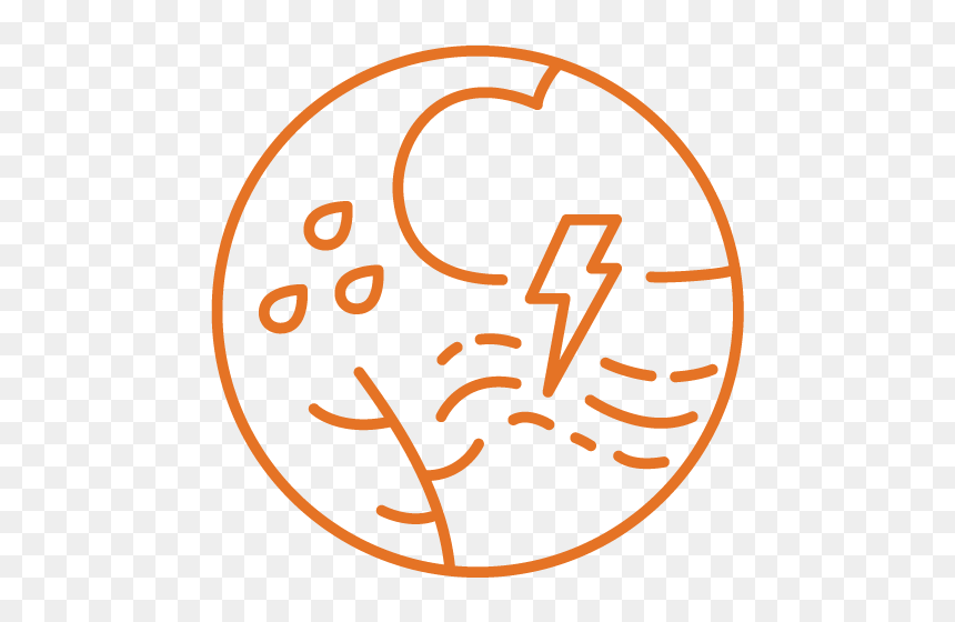 Birch Tree Care Logo -11 - Circle, HD Png Download - birch png