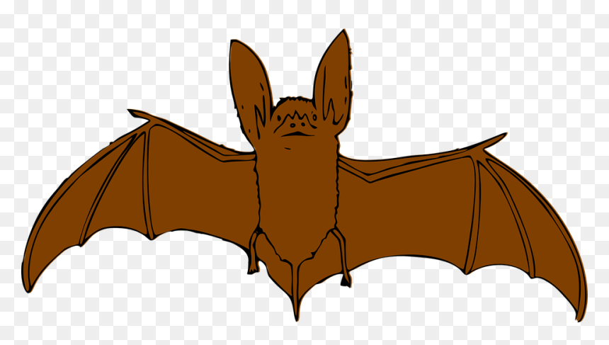 Animal Clipart Bat - Brown Bat Clipart, HD Png Download - bat wings png