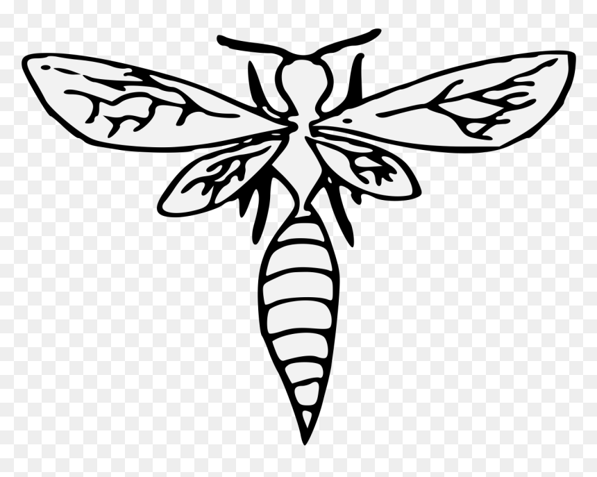 Clip Art, HD Png Download - wasp png