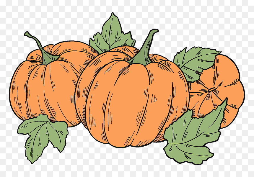 Pumpkin Patch Clipart - Pumpkin, HD Png Download - pumpkin patch png