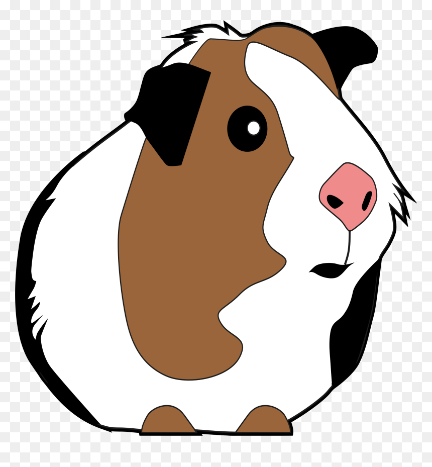 Guinea Pig Clipart, HD Png Download - guinea pig png