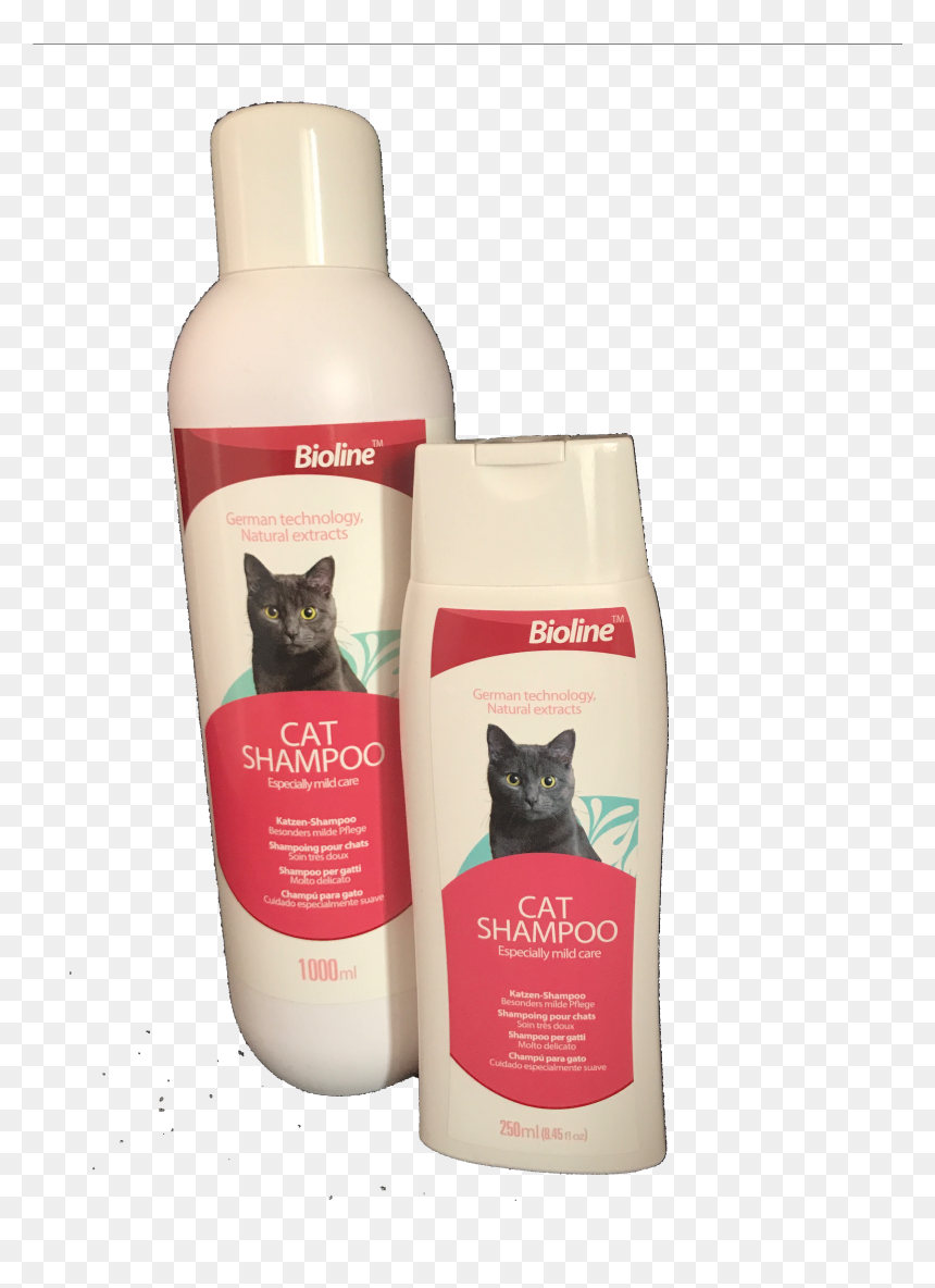 Kitten, HD Png Download - shampoo png