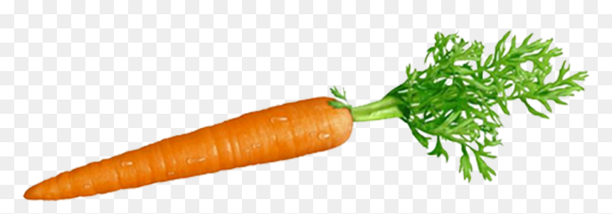 Carrot And Stick Png - Transparent Background Carrot Transparent, Png Download - beets png