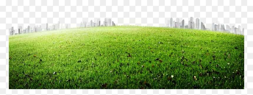 Meadow 5200*3458 Transprent Png Free Download , Png, Transparent Png - meadow png