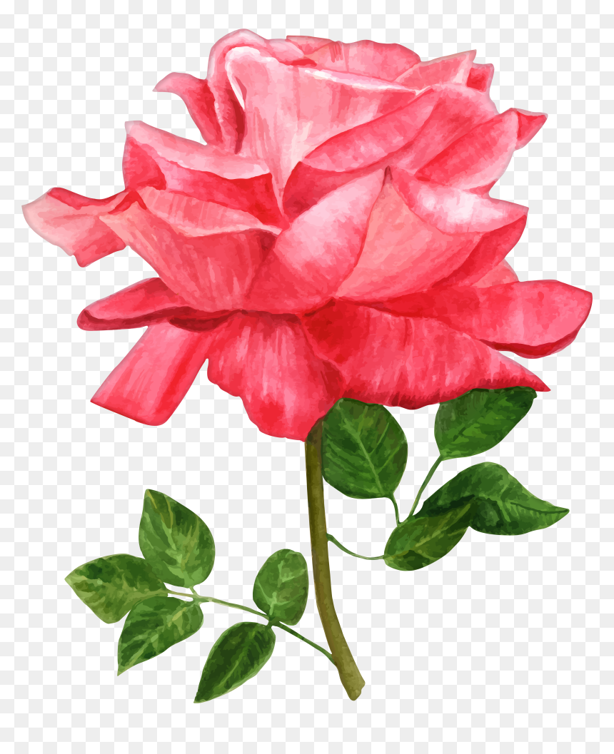 Watercolor Flowers Png, Transparent Png - watercolor flowers png