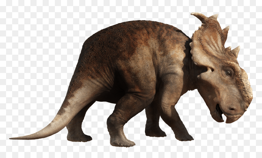 Dinosaur Png, Transparent Png - dinosaur png