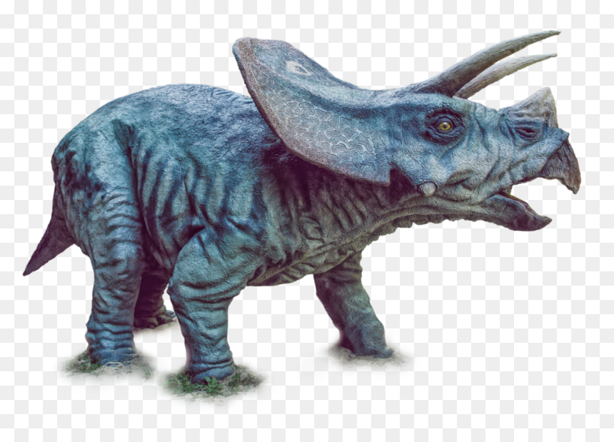 Dinosaur Triceratops Png, Transparent Png - dinosaur png