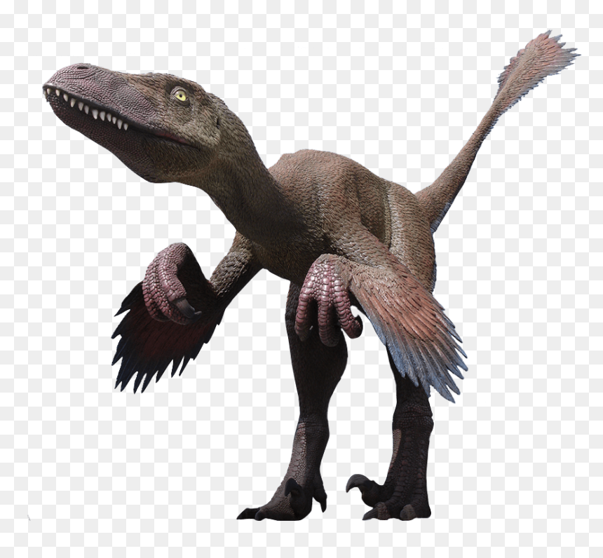 Deinonychus Png, Transparent Png - dinosaur png