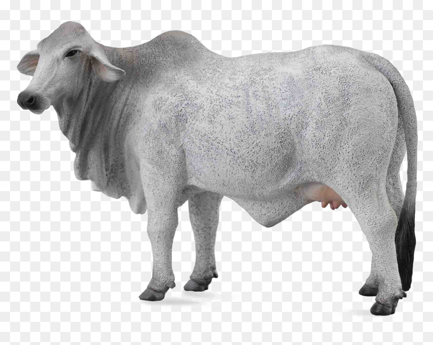 White Cow Transparent Background, HD Png Download - cow png