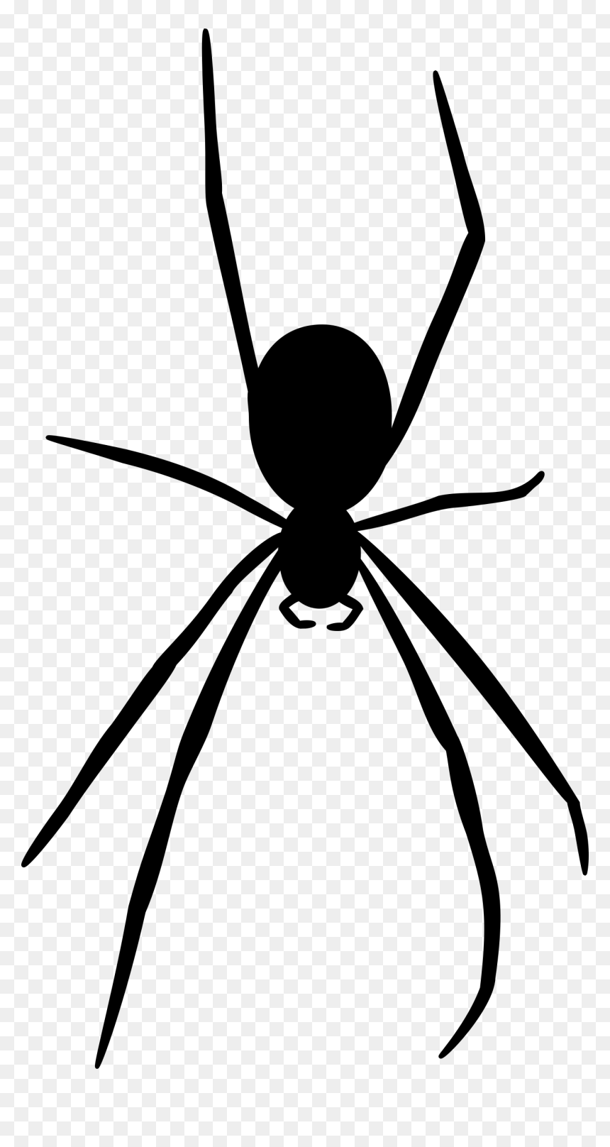 Spider Silhouette Png, Transparent Png - spider png