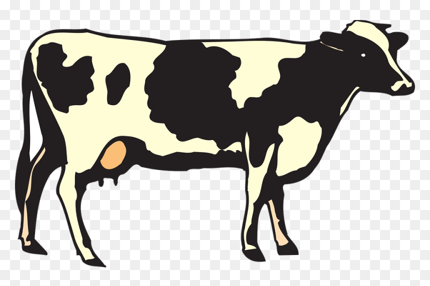Animal And Plant Product, HD Png Download - cow png