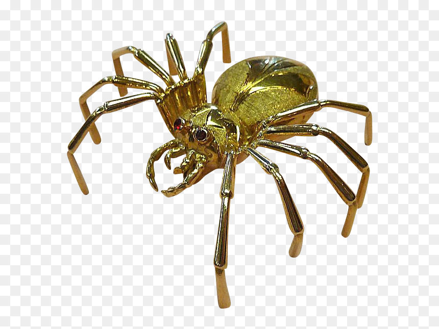 European Garden Spider, HD Png Download - spider png