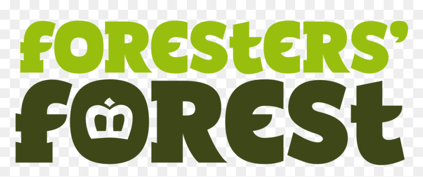 Illustration, HD Png Download - forest png