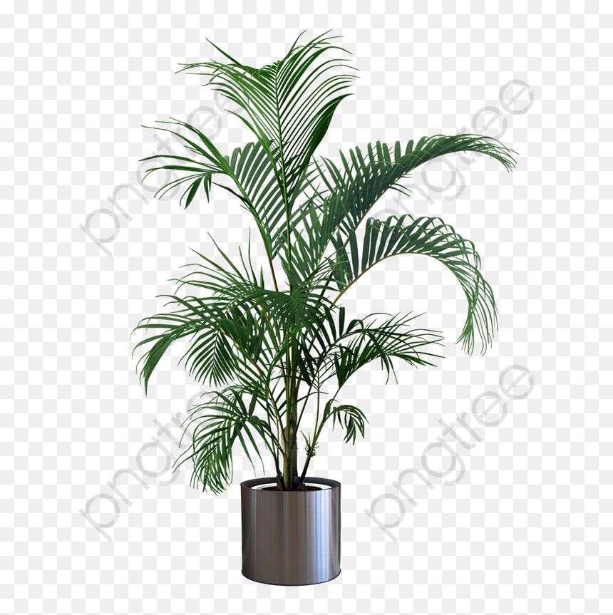 Potted Plant Transparent Background, HD Png Download - plants png