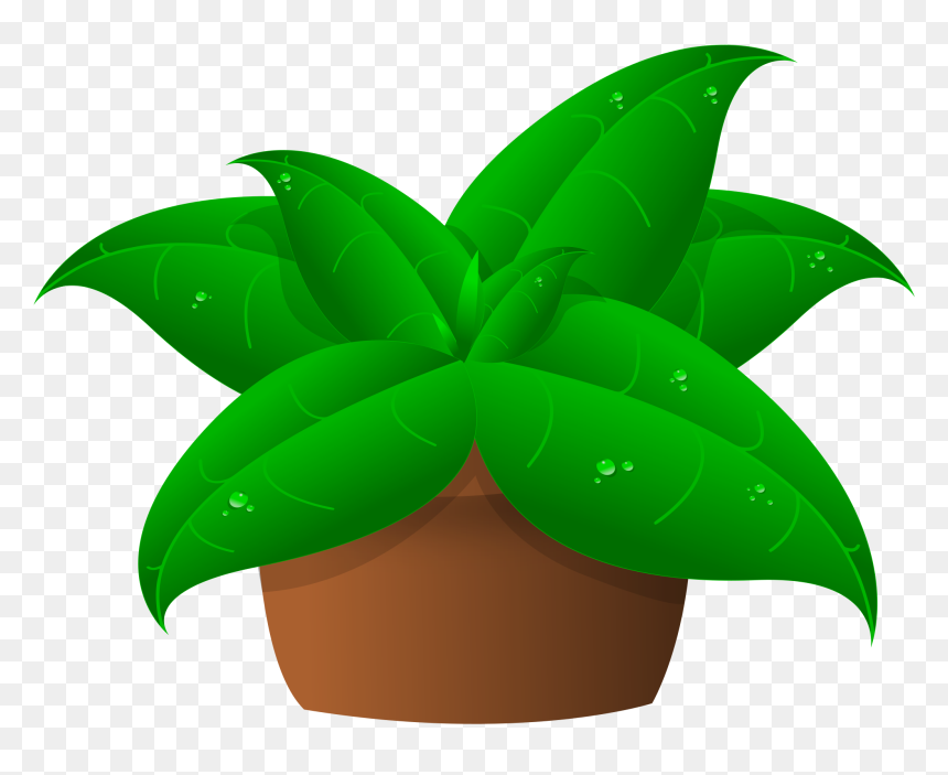 Clip Art Of Plant, HD Png Download - plants png