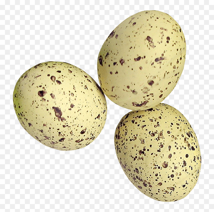 Quail Eggs Png, Transparent Png - easter egg png