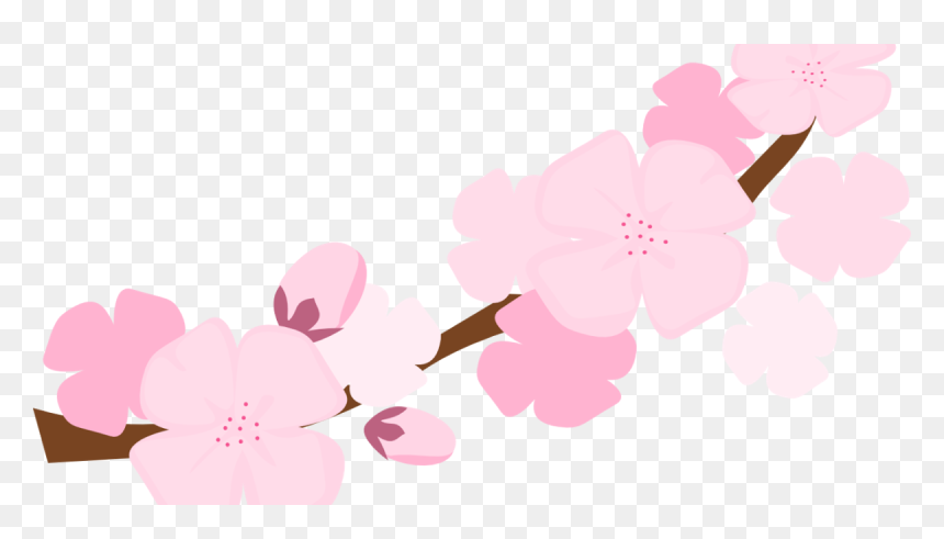 Clip Art, HD Png Download - cherry blossom png
