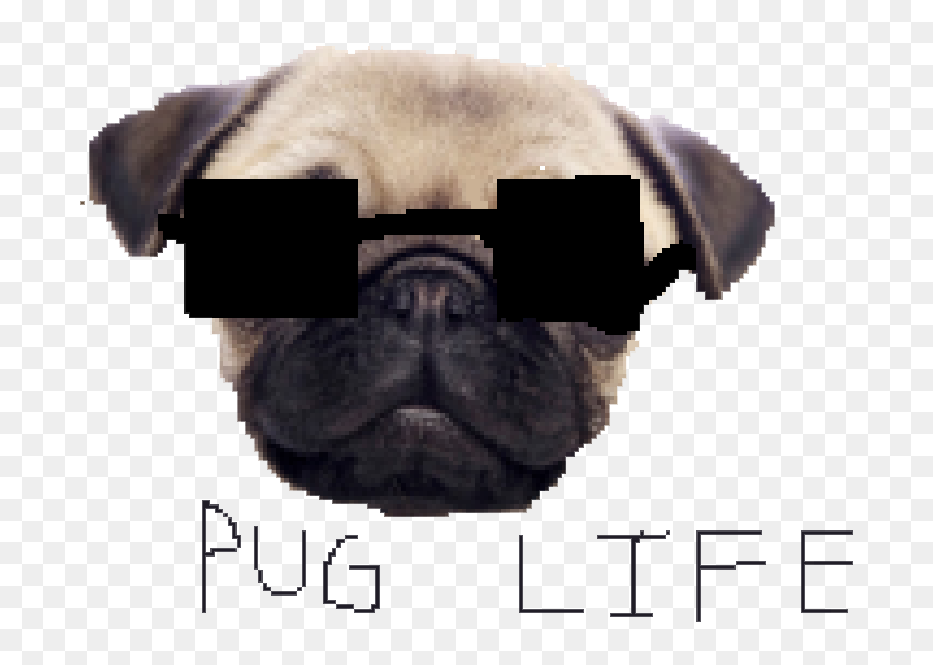 Portable Network Graphics, HD Png Download - thug life png