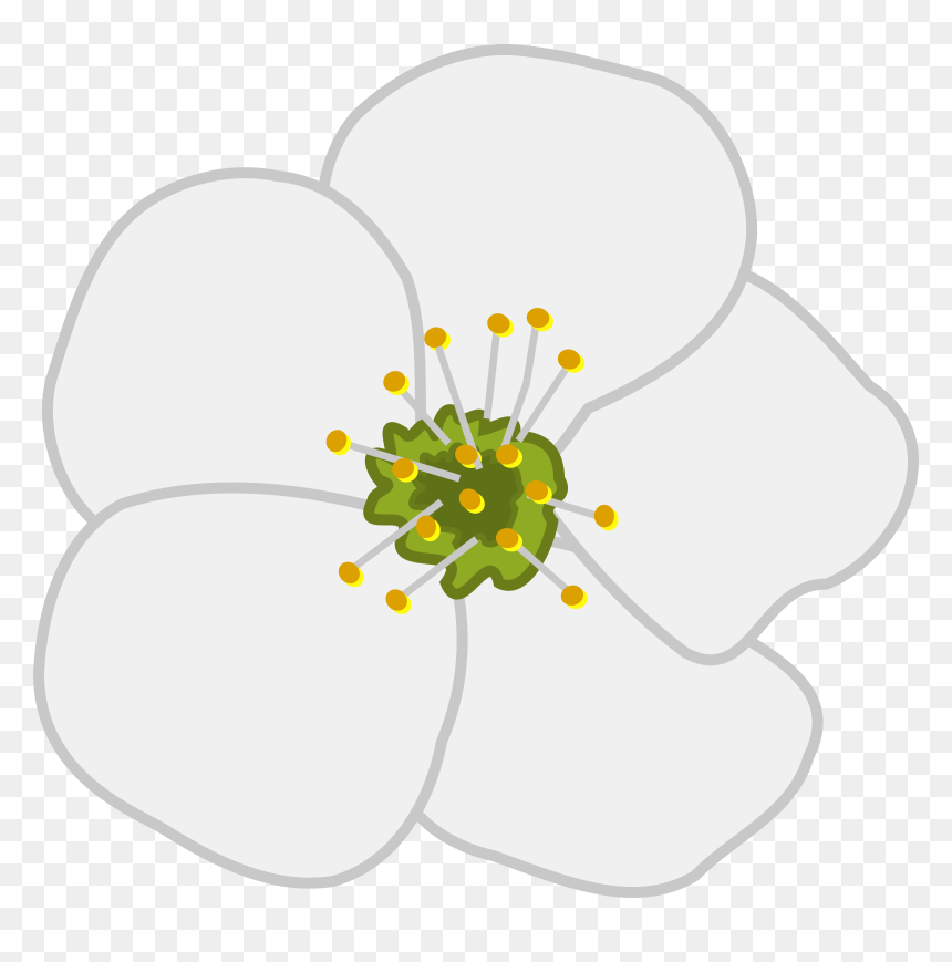 Cherry Flower, HD Png Download - cherry blossom png