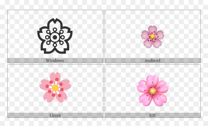 Rosa Rubiginosa, HD Png Download - cherry blossom png