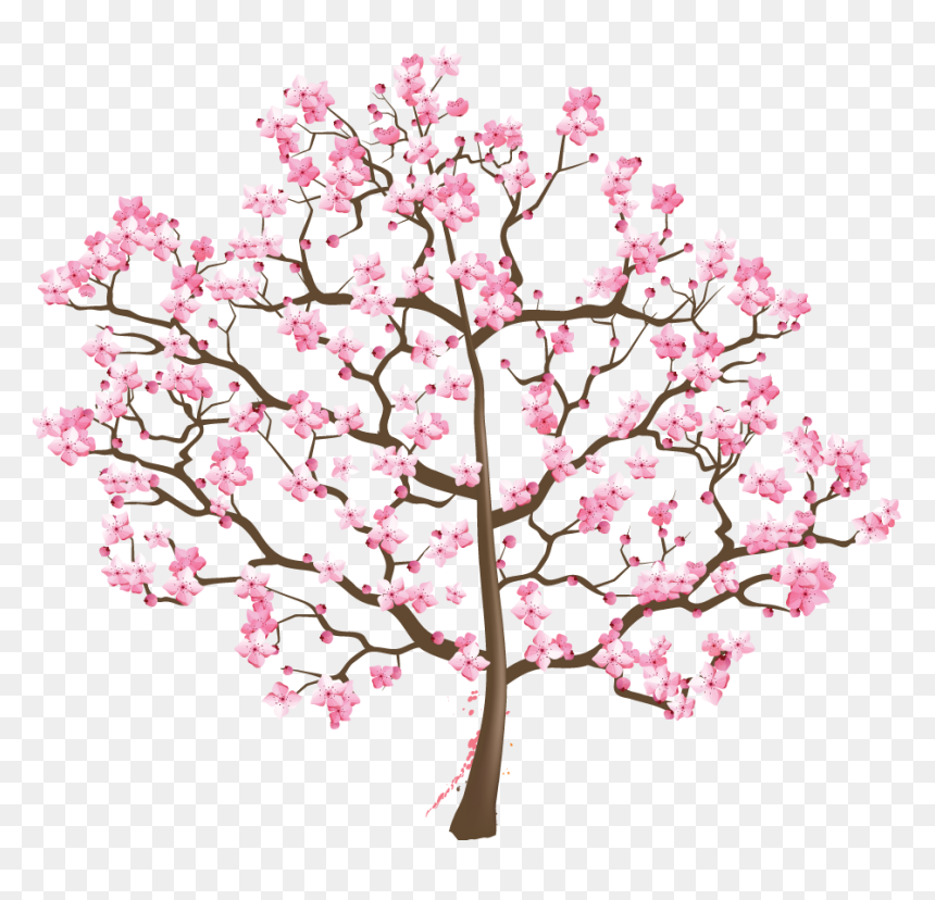 Cherry Blossom, HD Png Download - cherry blossom png
