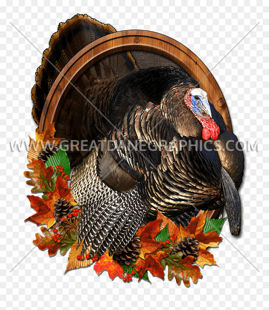 Turkey, HD Png Download - turkey png